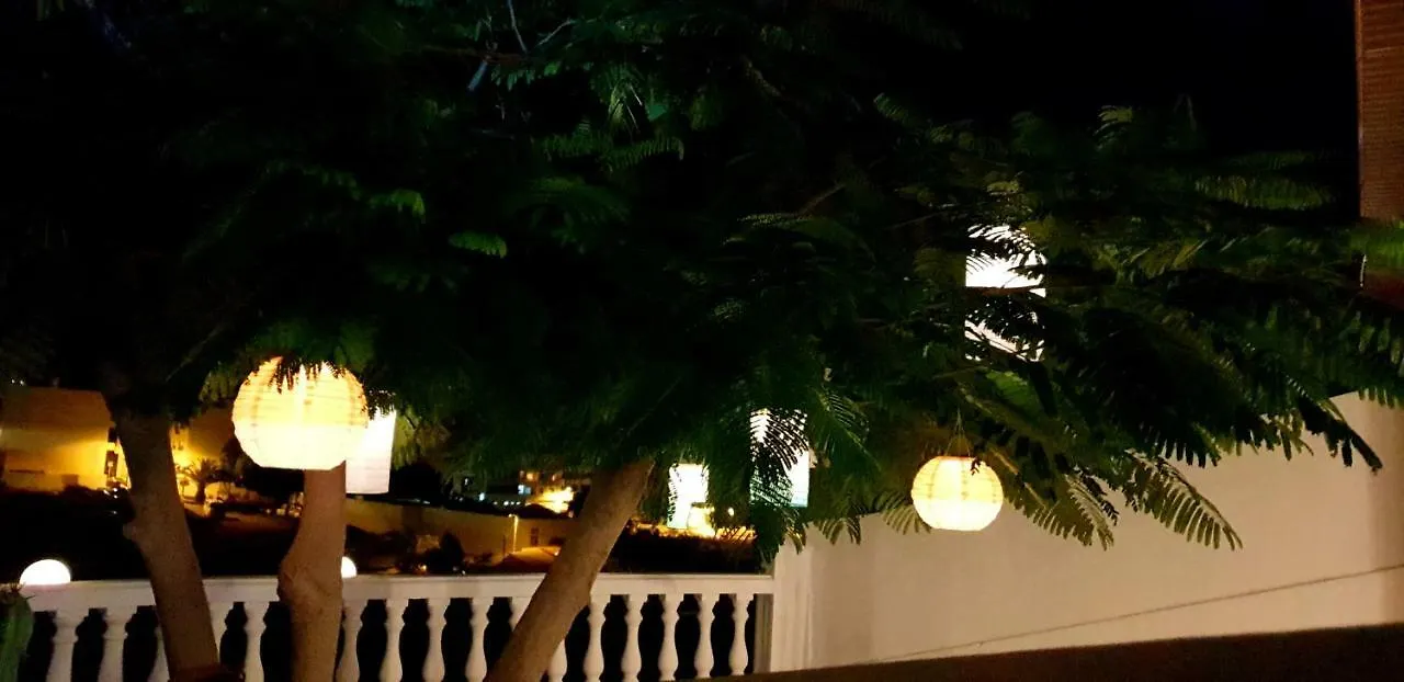Apartamento Adeje II Costa Adeje  Costa Adeje (Tenerife)
